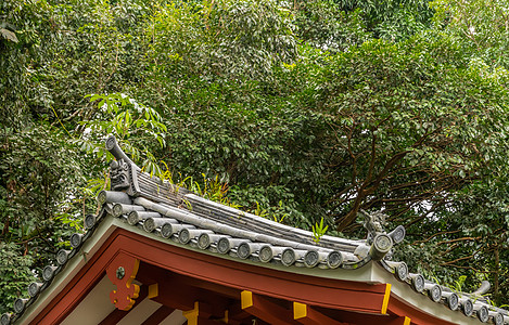 瓦胡省Kaneohe的Byodo-in佛教寺庙屋顶装饰图片