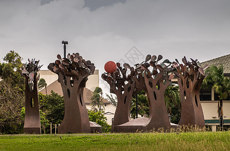 夏威夷大学树雕像 马卡胡利毛伊学院图片