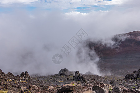 在美国夏威夷的毛伊岛 Haleakala火山坑中埋有雾图片