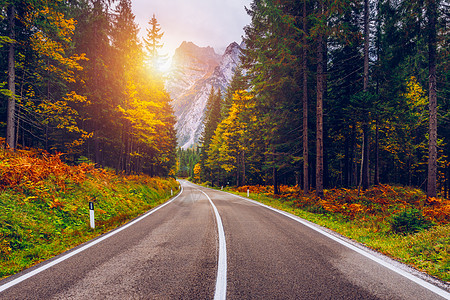 蜿蜒的道路视图 意大利南部阿尔卑斯山的柏油路旅行弯路森林旅游运输风景高山缠绕全景沥青图片