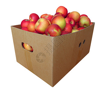 水果纸箱纸箱中的苹果被孤立黄色饮食盒子团体食物绿色纸板水果白色农业背景