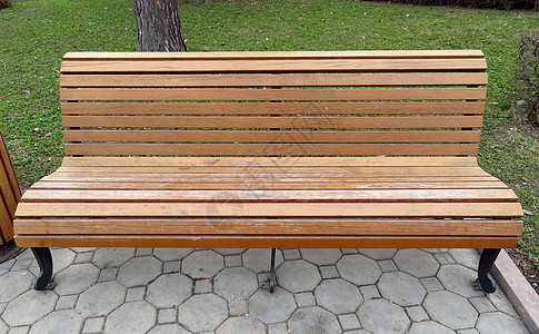 木林公园法官家具公园椅子花园硬木座位棕色木头金属木板图片