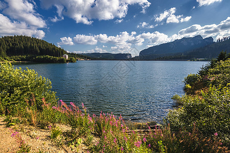 查看Bolbosoci湖和Tt带喀尔巴阡山脉的堤坝天空旅游蓝色国家全景池塘反射树木远足风景图片