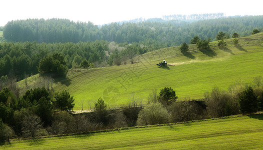 绿色的山丘和蓝色的天空地平线白色风景农村叶子晴天场地丘陵地形草地图片
