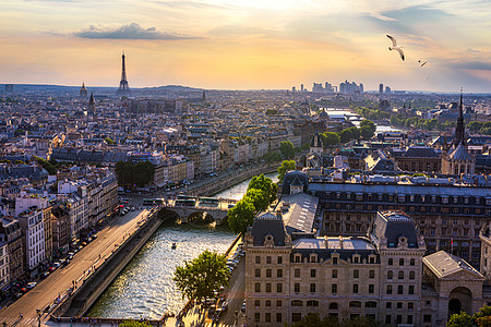 法国巴黎 塞纳河城市景色 夏季色彩与鸟类纪念碑全景旅行大街历史性街道天线建筑学景观图片