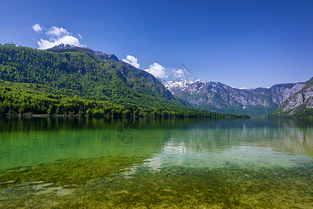 斯洛文尼亚的Bohinj湖 自然中的美丽国家森林季节旅行山脉目的地地标环境阳光天空图片
