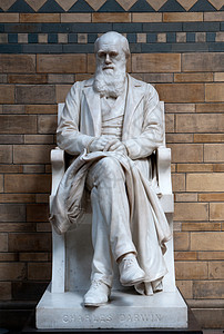 查尔斯达尔文雕像数字艺术博物学家历史起源雕塑大理石英语生物学适者图片