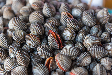 海产食品市场新鲜生海鲜蛤海洋甲壳食物蛤蜊街道动物生产生活营养盘子图片