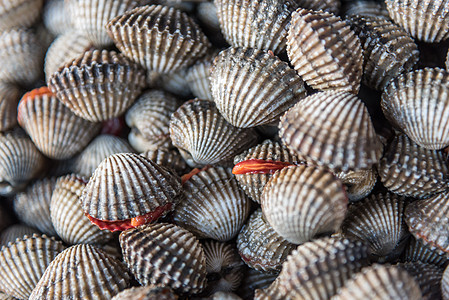 海产食品市场新鲜生海鲜蛤食物生产用餐海鲜盐水动物甲壳餐厅美味贝类图片