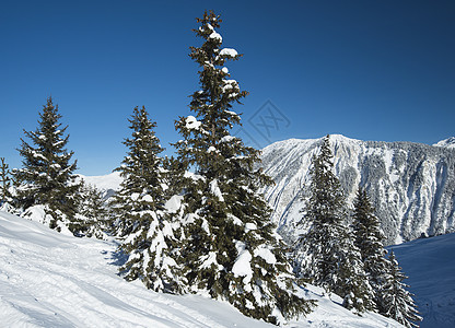 高山山脉下雪覆盖山谷的风景全景爬坡道树苗山脉森林旅行针叶树树木远景天空蓝色图片