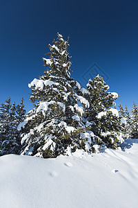 高山高山山脉的冰雪风景与摇篮爬坡道蓝色旅行森林全景针叶树干远景树木天空图片