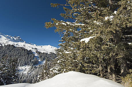 高山山脉下雪覆盖山谷的风景全景天空针叶树树干山腰爬坡道天气森林蓝色针叶松树图片