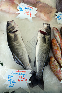 鱼市上漂亮的海鱼节食店铺销售食物市场银色海洋眼睛营养白色图片
