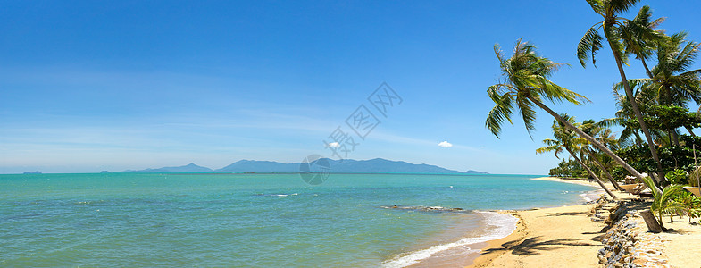 热带热带海滩棕榈旅游假期阳光天蓝色天空海景海岸晴天海洋情调图片