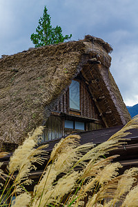 位于Ogimachi村的农庄屋顶图片