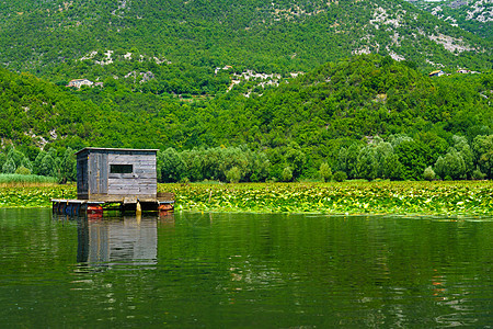 斯卡达尔湖Skadar湖小屋图片