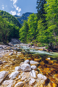 美丽多彩的夏日风景 有溪流和森林天空流动山脉苔藓公园瀑布石头山谷木头蓝色图片