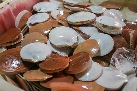 在印度尼西亚巴厘岛金巴兰的旅游景点当地市场上出售新鲜的海鲜鱼 美味的贝壳 在当地市场出售新鲜贝壳海洋坚果餐厅销售营养食物店铺美食图片