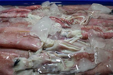 在鱼市Jimbaran销售的海鲜柜台上食用甲状腺动物在聚苯乙烯箱中出售的一些新鲜卡拉马里鱼触手盘子海洋章鱼店铺盒子厨房生活乌贼鱿图片