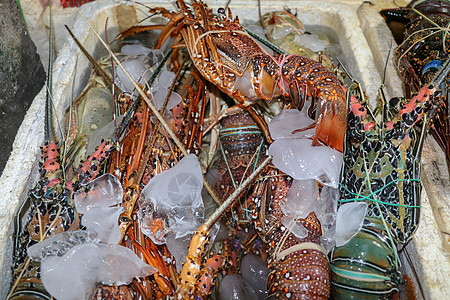 在印度尼西亚巴厘岛金巴兰的出售的新鲜海鲜 Kedonganan卖鱼的新鲜龙虾 在海鲜柜台上出售的冰鲜龙虾食物甲壳生蚝高架营养香菜图片
