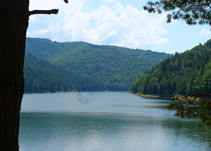 美丽的湖泊全景假期观光顶峰森林国家鸟瞰图荒野山脉松树天空图片