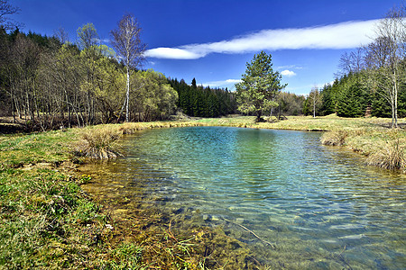春春时森林中的池塘 波兰假期风景场景荒野蓝色森林环境阳光天空美丽图片