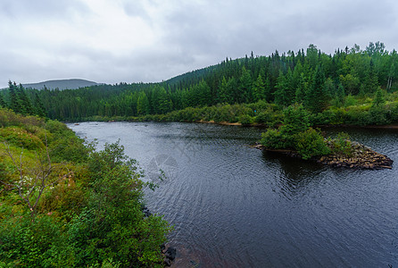 魁北克Malbaie河松树旅行绿色荒野旅游风景森林图片