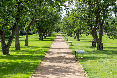 公园里有树的景色街道石头长椅草地城市橡木小路蓝色分支机构树木图片
