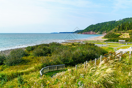 Fundy Trail公园的沿海景观崎岖海洋踪迹森林旅游悬崖海滩海岸线公园支撑图片