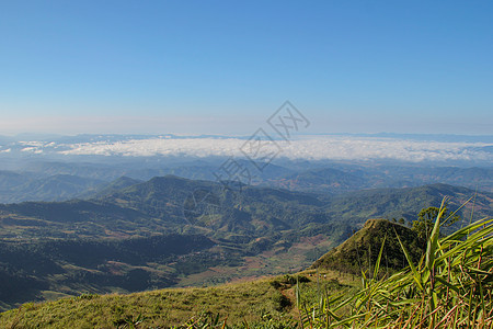 诸山如云彩般的仰望草地植物风景旅行场景叶子场地森林全景农村图片