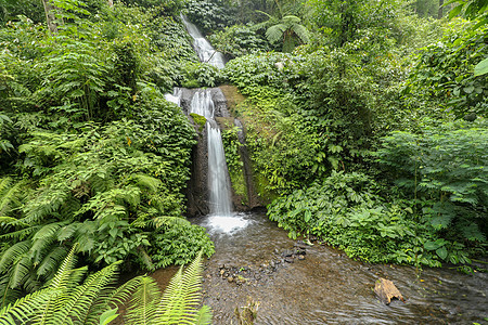 美丽的山林雨林瀑布 加上快速流水木头公园树叶风景运动热带晴天苔藓荒野丛林图片