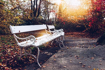 城市公园的旧木板椅 自然古老秋天背景农村风景家具座位季节植物孤独长椅森林环境图片