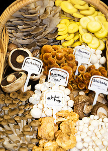蘑菇篮香菇滑子蘑高清图片
