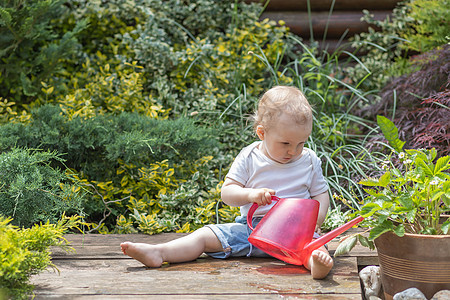 小小男孩在花园里给植物浇水图片