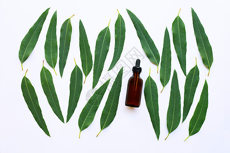 Eucalyptus 含白叶子的油瓶木板香水桉树树叶洗澡玻璃身体香气桌子化妆品图片