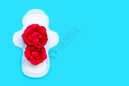 白色卫生巾 蓝色背景的红玫瑰餐巾软垫药品洗手间女性成人女孩经期棉布内裤图片