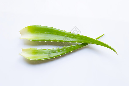 Aloe vera是健康美的药用植物芦荟植物学卫生药品皮肤科蔬菜热带滋润温泉叶子图片
