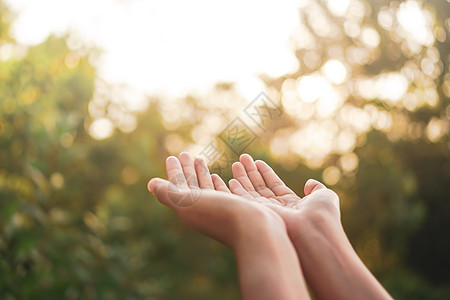 女人手放在一起 就像在大自然的绿色背景面前祷告一样天空女士手指冥想女性佛教徒生活生长宗教海滩图片