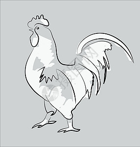 公鸡艺术品乌鸦草图绘图画笔曲线线条绘画姿势计算机图片