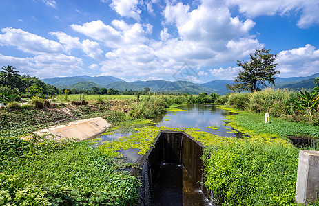 满是美丽的蓝天空的湿沟和山坡自由蓝色旅行溢洪道公园植物天空季节水库溪流图片