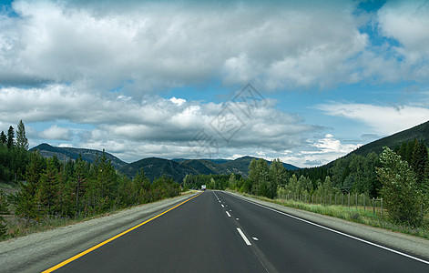 不列颠哥伦比亚省山路的转弯运输树木旅行车道白色卡车汽车速度山脉天空图片
