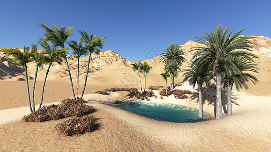 绿洲计算机形状沙漠地点绘图气候插图衬套旅行图像图片