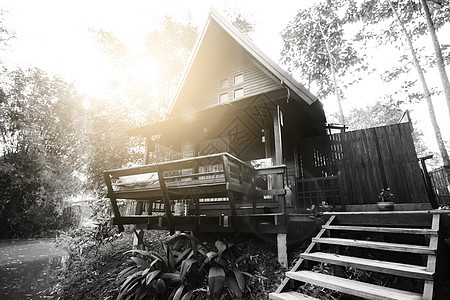 泰式房屋由河边的硬木制成 黑白相间 阳光和镜头光晕 独特的高屋顶风格适合热带乡村图片