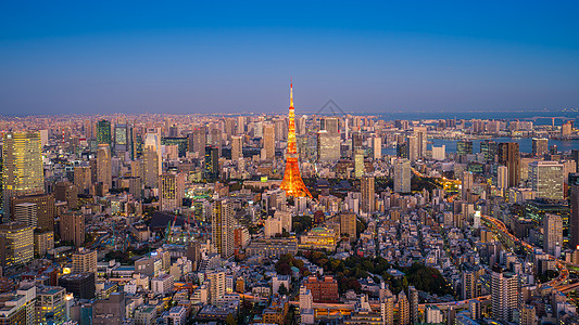 日本塔东京塔 有建筑城 在日本东京背景