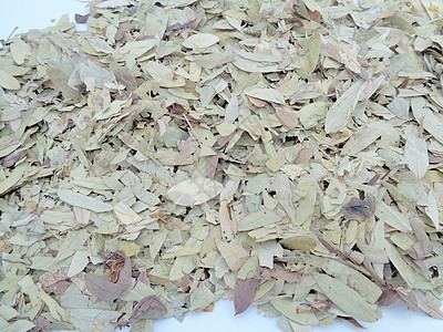 干番泻叶 也称为 daun jati 瓷器 有白色背景 这种叶子通常用作凉茶 此茶清爽 有特殊香气环境植物热带草本植物花草豆荚阳图片
