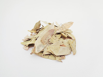 干番泻叶 也称为 daun jati 瓷器 有白色背景 这种叶子通常用作凉茶 此茶清爽 有特殊香气阳光泻药豆荚食物环境药品便秘植图片