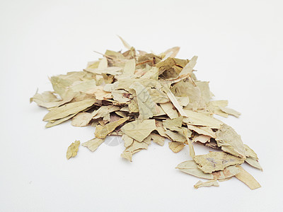 干番泻叶 也称为 daun jati 瓷器 有白色背景 这种叶子通常用作凉茶 此茶清爽 有特殊香气热带植物草本植物泻药豆荚环境阳图片