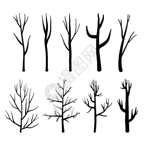 在白色背景上设置的树木裸树的集合 矢量图插图艺术绘画枝条季节花园黑色草图植物季节性图片