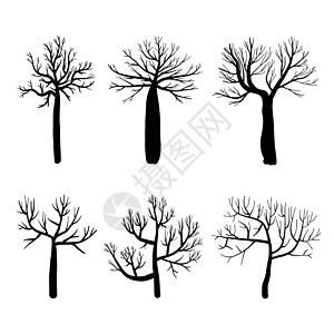 在白色背景上设置的树木裸树的集合 矢量图环境花园季节性艺术黑色收藏木头季节绘画树干图片
