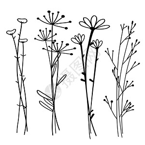 手绘植物集涂鸦花卉元素矢量图解叶子潮人风格艺术装饰品插图草图邀请函乡村玫瑰背景图片